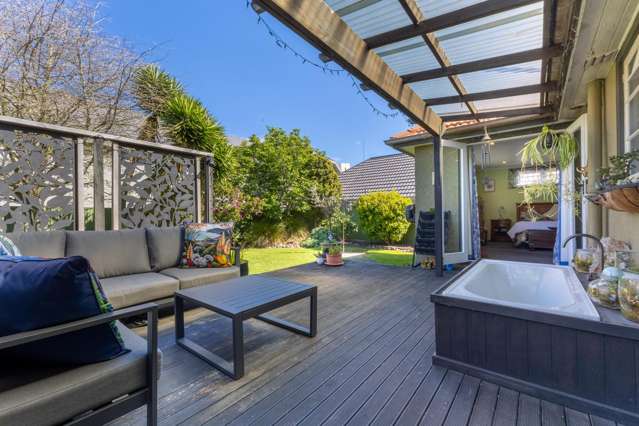 6 Puriri Terrace Roslyn_2