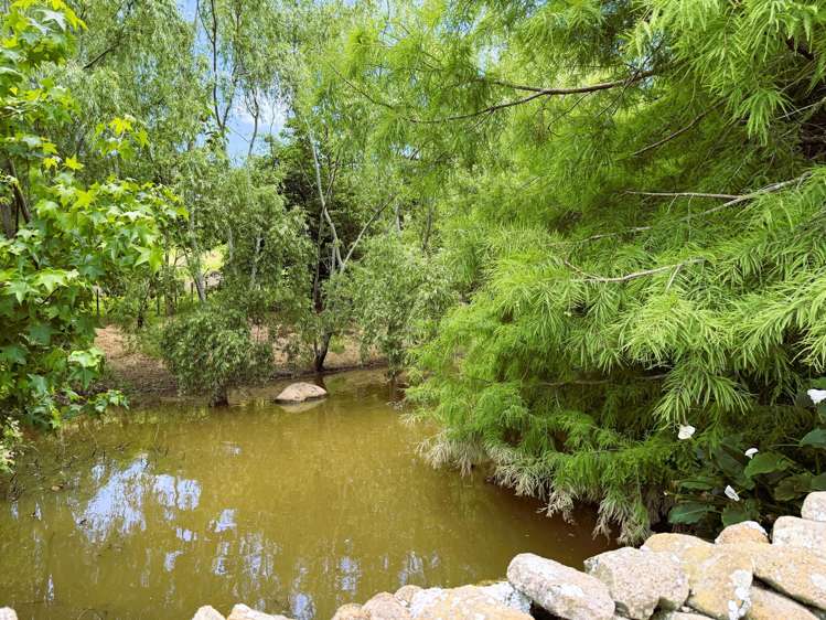 7046 State Highway 12 Waimamaku_22