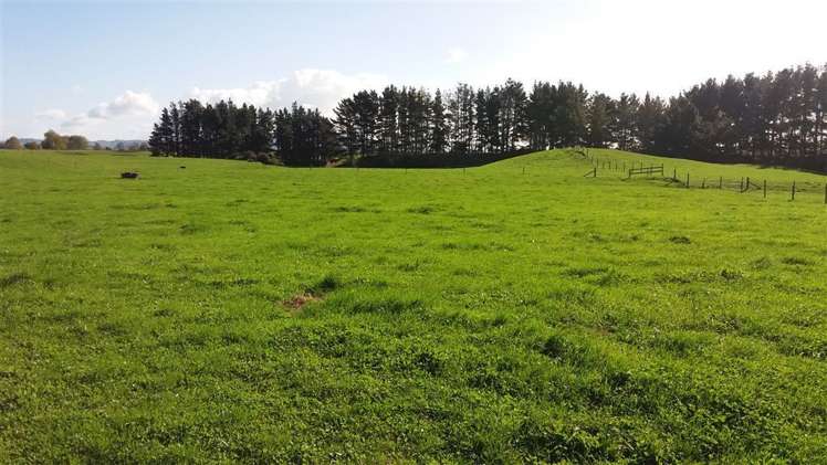 7917 State Highway 27 Matamata_5