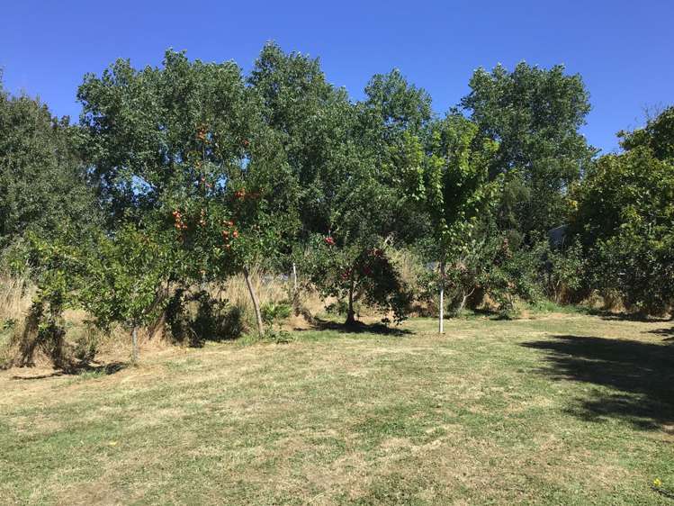 657 Domett Road Domett_10