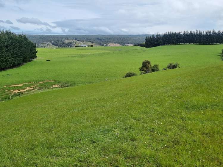 1384 Tahakopa Valley Road Catlins Surrounds_10