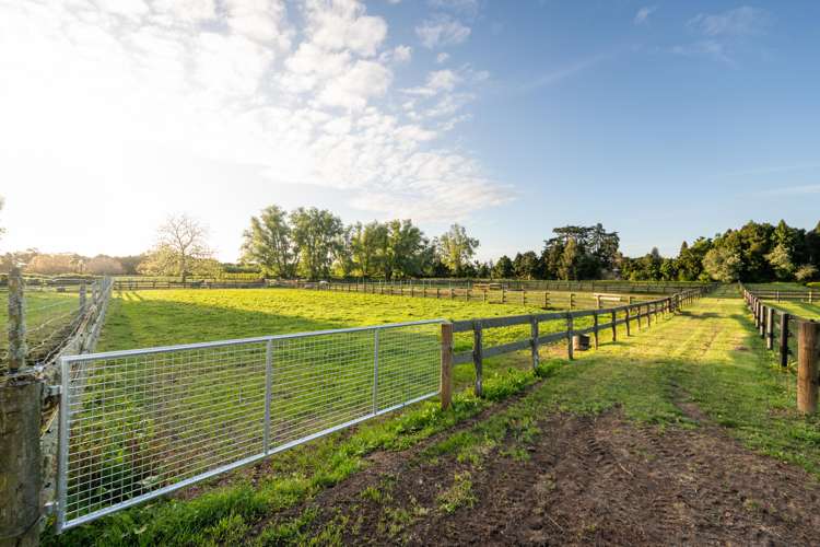 91 Forrest Road Cambridge_20