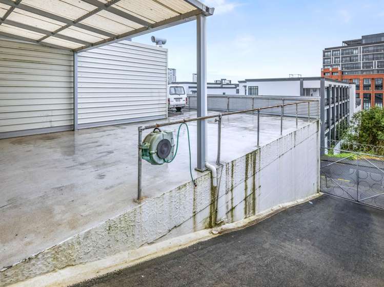 35 Randolph Street Eden Terrace_9