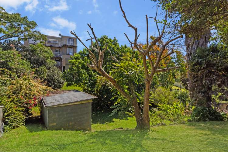 64 Codrington Crescent Mission Bay_25