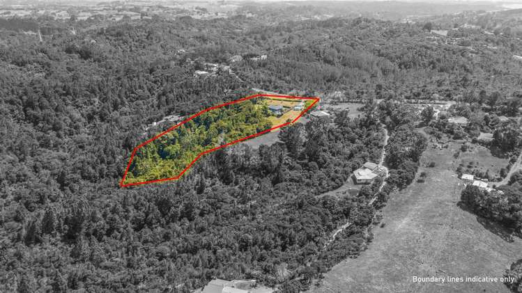 206 Albany Heights Road Albany Heights_9