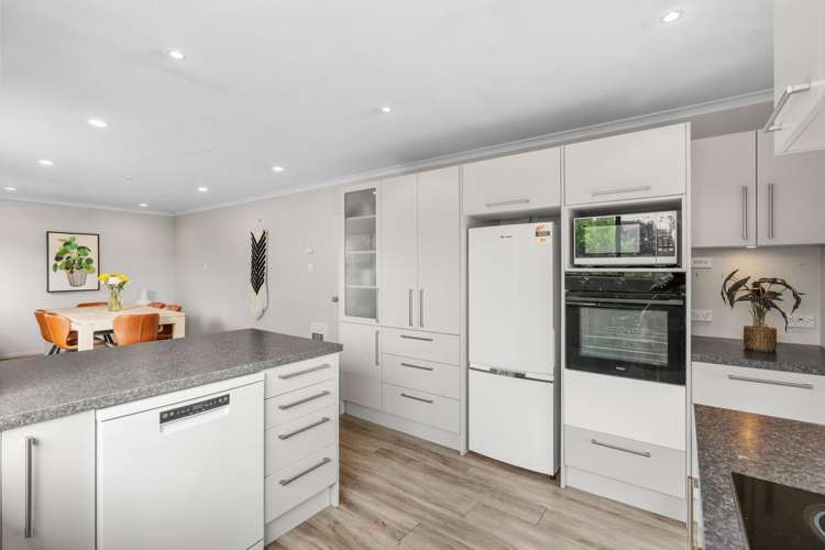 40 Shandon Road Waverley_13