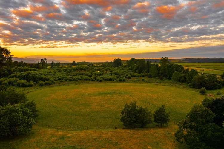 1081 State Highway 63 Renwick_42