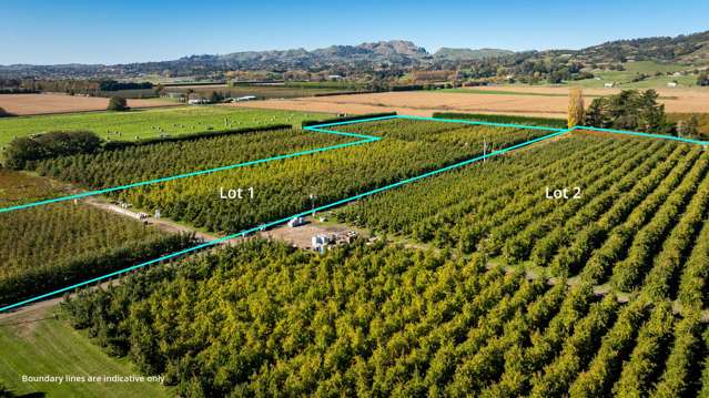 83 Mount Erin Road Havelock North_3