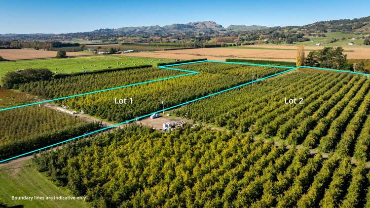 83 Mount Erin Road Havelock North_3