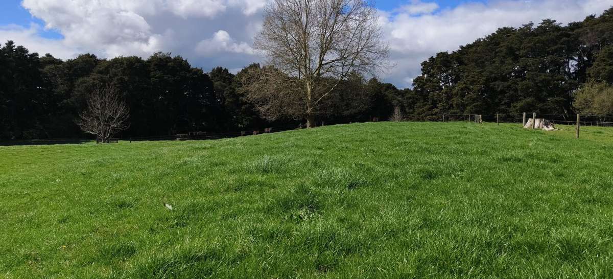 Lot 5/441 Kuranui Road_2