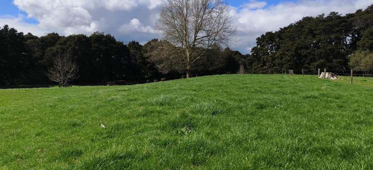 Lot 5/441 Kuranui Road Morrinsville_6