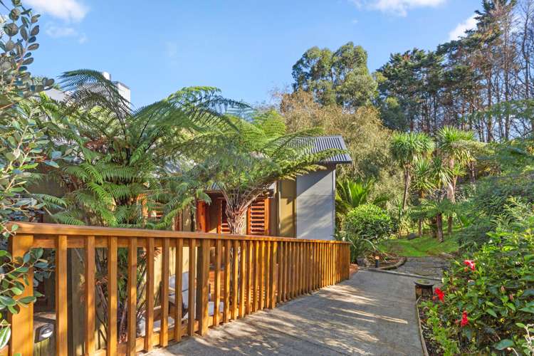 91b Greenslade Road Raglan_13