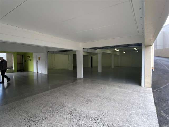 Basement, 6 Hill Street Hamilton Central_1