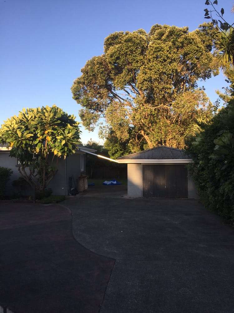 67 Three Mile Bush Road Kamo_14