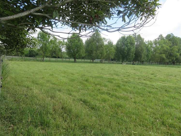 115 Main North Road Geraldine_11