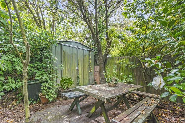 19 Braithwaite Street Ilam_5