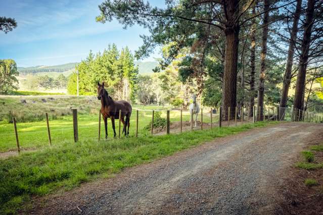 298F Paekakariki Hill Road Pauatahanui_2