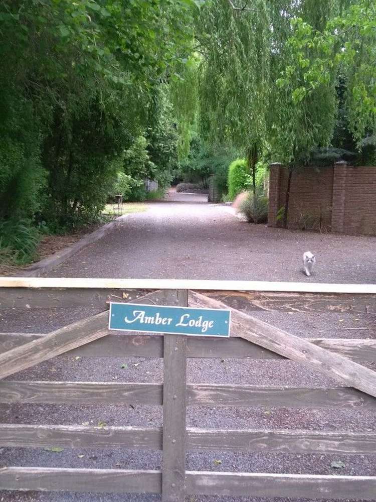 881 Weedons Ross Road West Melton_23