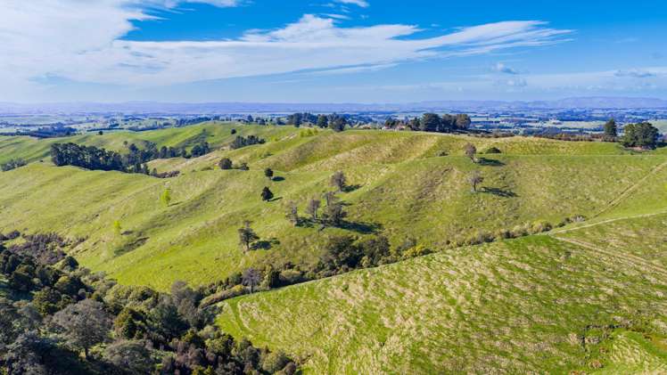 1139 Blackburn Road Ongaonga_18