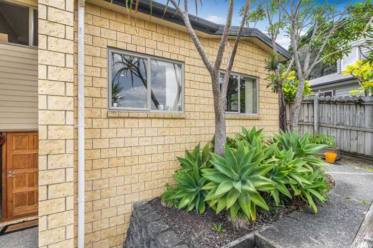 14A Kittiwake Drive Albany_1