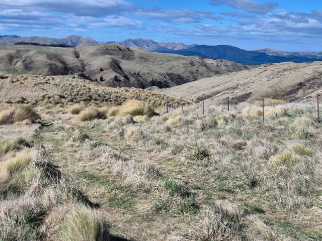Bare Land Opportunity - East Otago