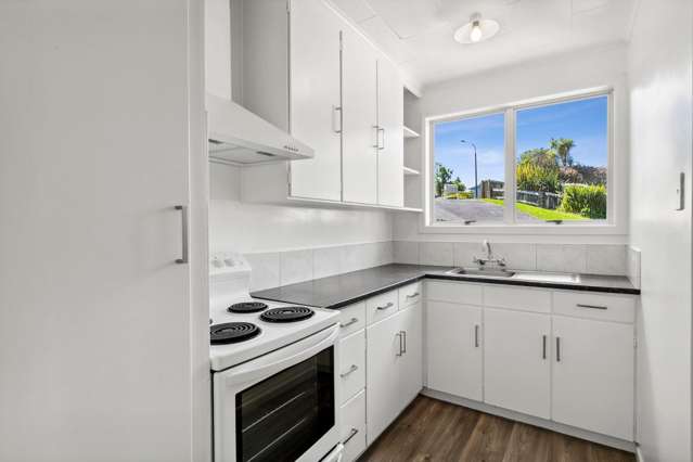 3/8a Hood Place Spotswood_3