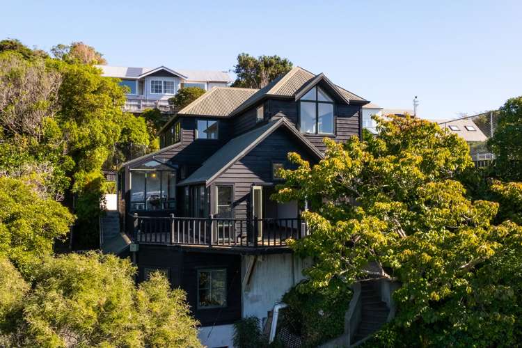 183A Barnard Street Wadestown_17