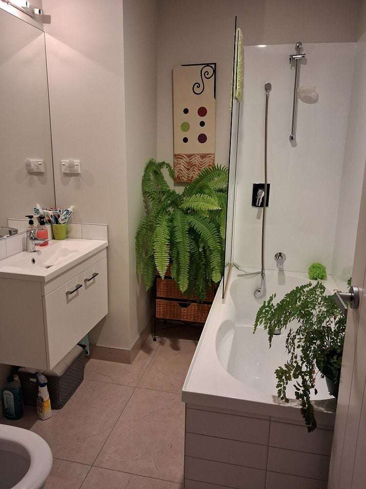 2B Tawa Crescent Manurewa_21