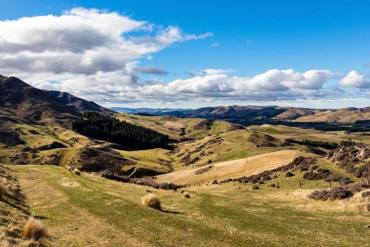 283 Mcraes Road Waikari_13