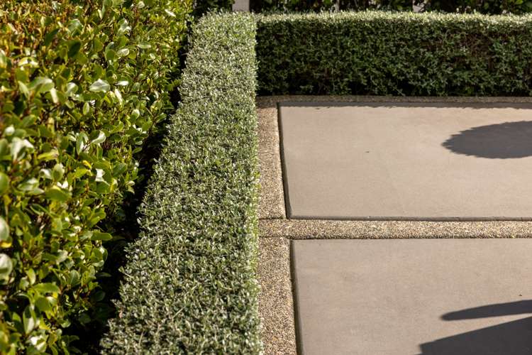 31 Maria Tini Drive Papamoa_27