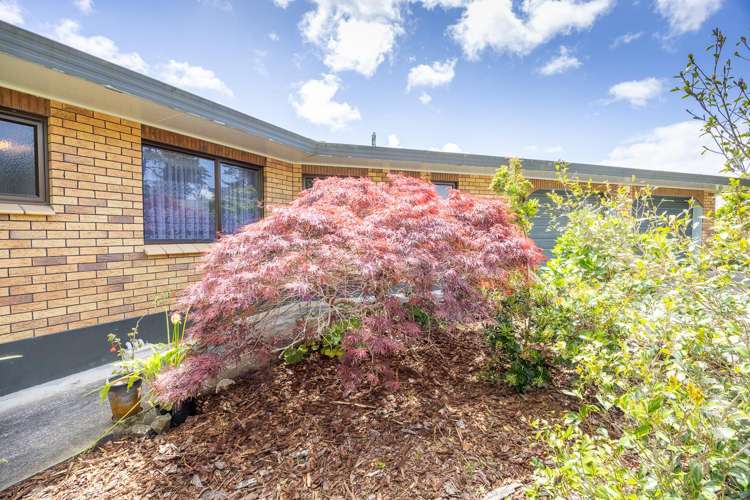 196 Mt Wesley Coast Road Dargaville Rd1_2