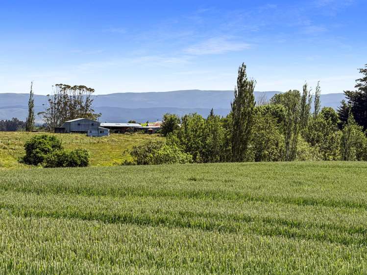 264 Dumfries Road, Taumata Clinton_5