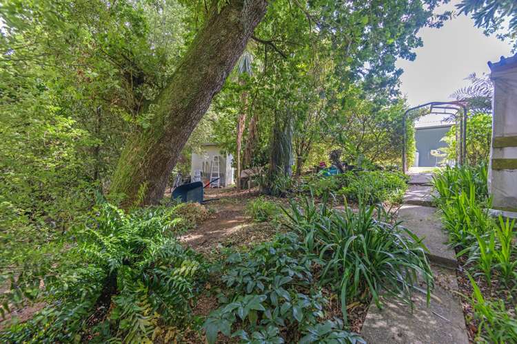 10A Shelton Place Marton_15