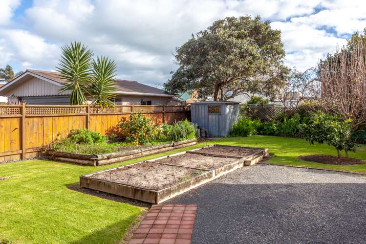 109 Robert Street Thames_12