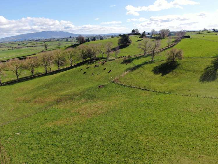 2/4798 Ohaupo Road Te Awamutu_48
