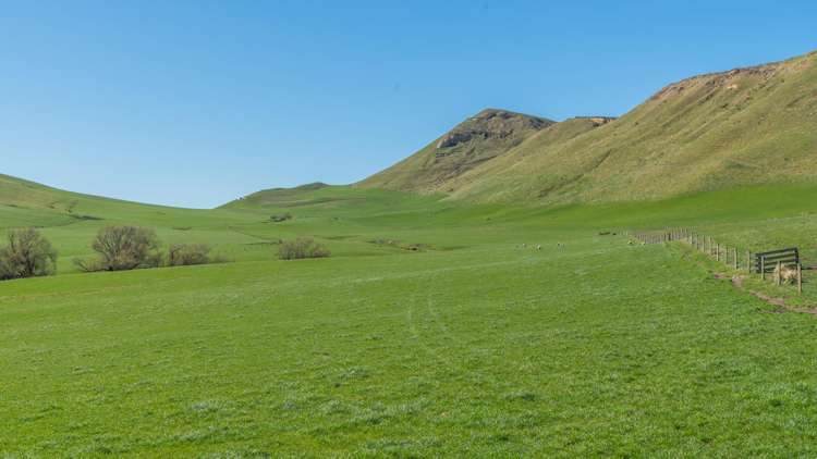 554 Waikari Valley Road Scargill_5