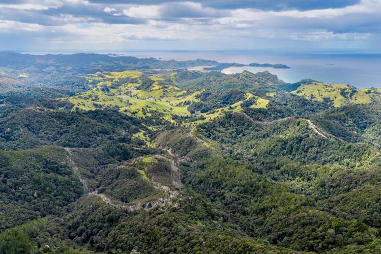 570 and 698 Whananaki South Road Whananaki_13