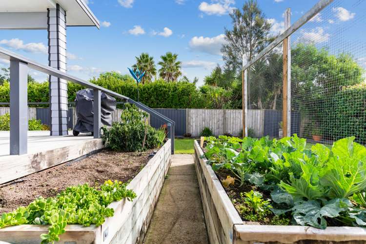 61c Moir Street Mangawhai_22