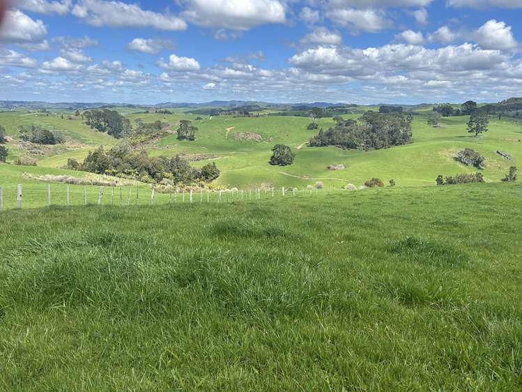 870 Mangati Road Pirongia_8