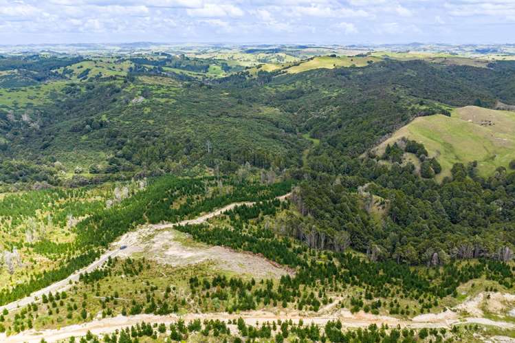 Lot/12 Arcadia Road Paparoa_12