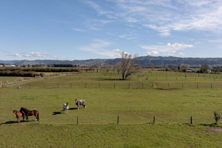 84 Grieve Road Otakiri_31