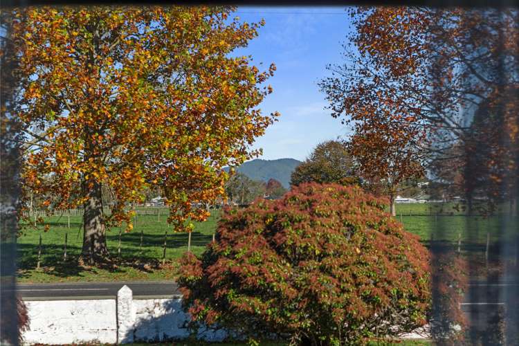 1207 Park Road Te Awamutu_11