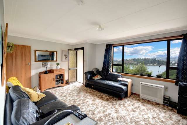 20 Larnach Road Waverley_2