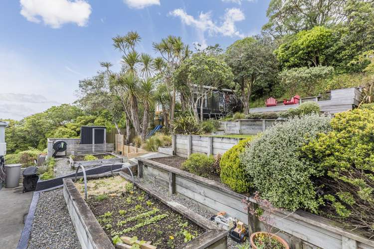 3/27 Whaui Street Vogeltown_13