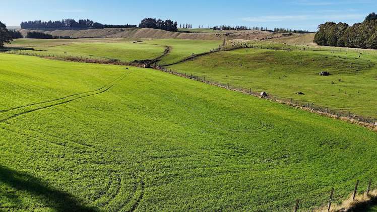 140 Tutoko Lane Te Anau_13