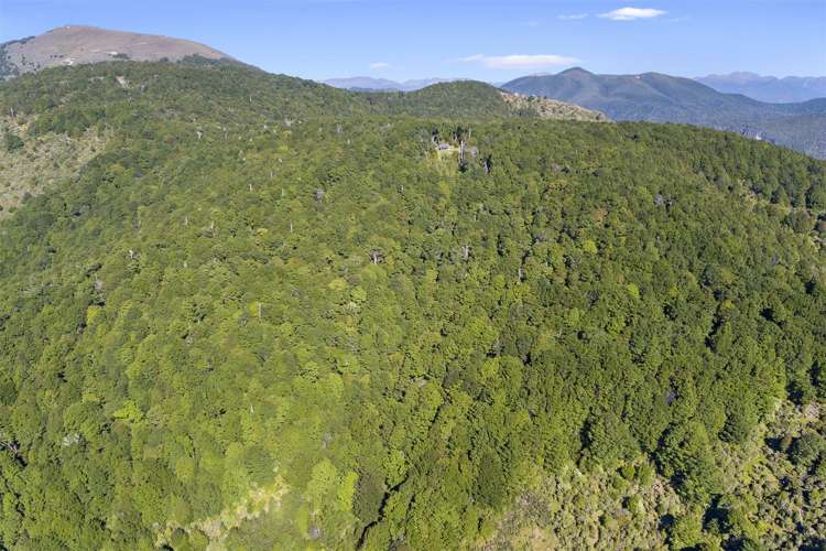 Brooklyn Valley Road Motueka_11