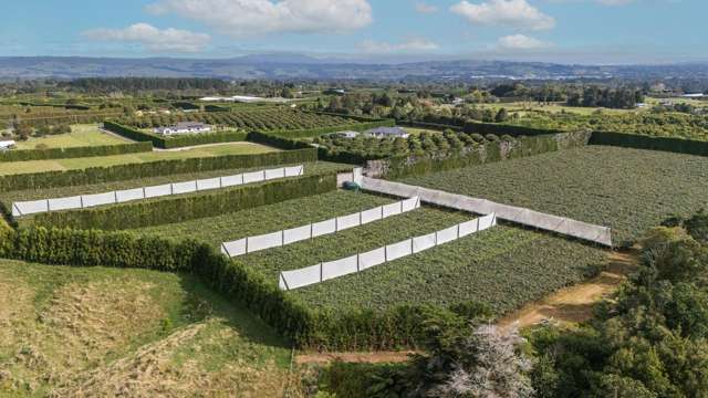 865B Oropi Road Oropi_4