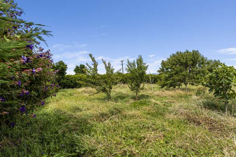 318 Kuku Beach Road Kuku_21