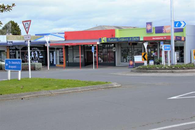 7 Princes Street Putaruru_1