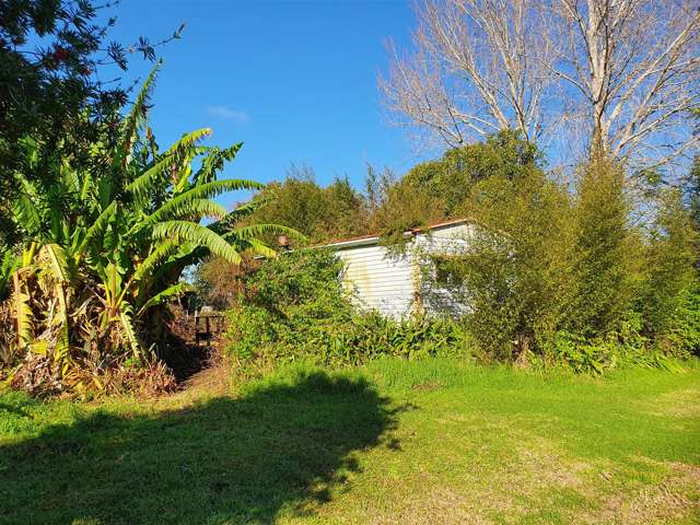 390 Pagitt Street Coromandel_2